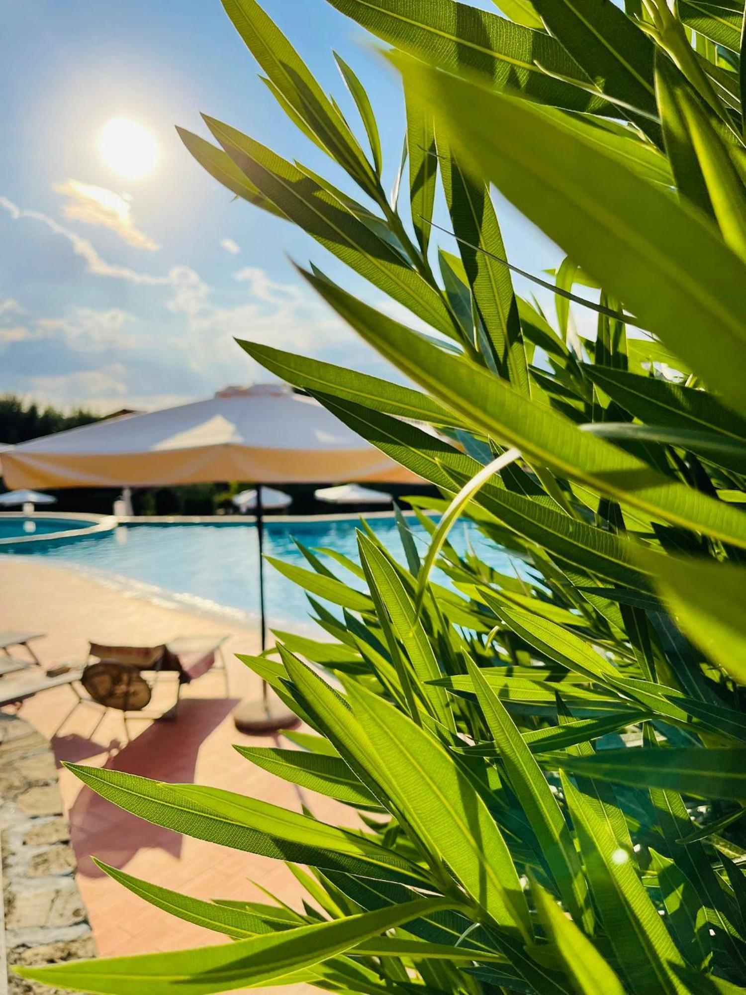Borgo Del Torchio - Gardagate Apartman Manerba del Garda Kültér fotó